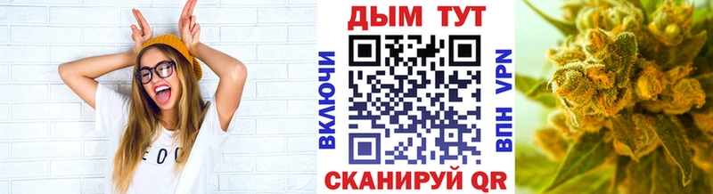 Купить  Шенкурск  Конопля семена 